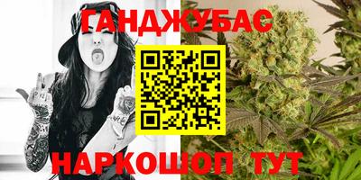 амф Можга