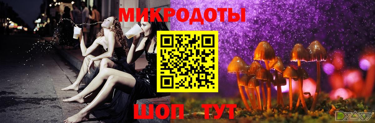 Владимир  Галлюциногенные грибы Psilocybe  Вход с VPN 